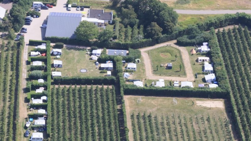 Camping in Burgh-Haamstede, Zeeland in een boomgaard 