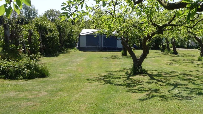 Campingplatz an der Küste in Burgh-Haamstede, Zeeland mit privaten Sanitäranlagen, Hunde erlaubt und Ferienhäuser zur Miete 