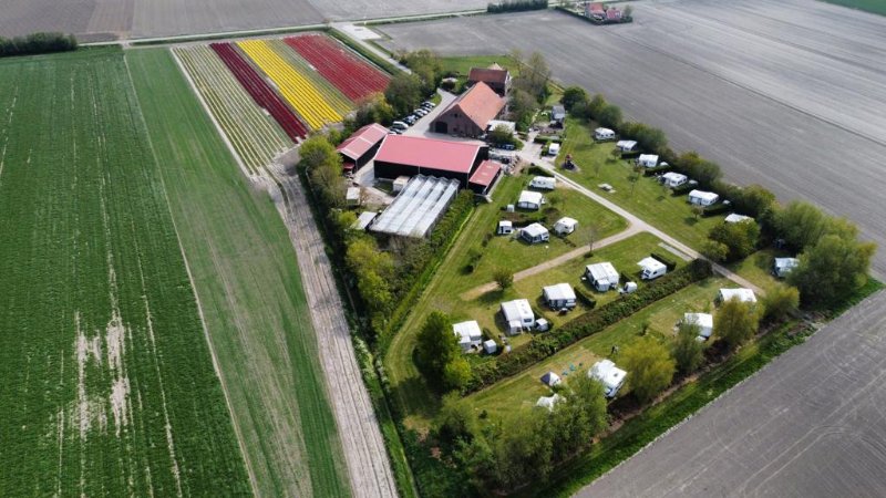 Campsite in Kerkwerve, Zeeland, dogs allowed 