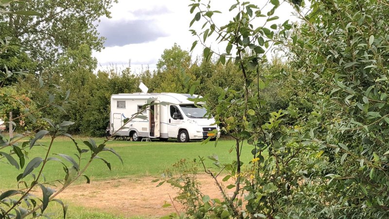 Camping aan de kust in Zeeland camperplaats honden toegestaan 