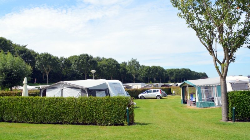 Camping aan de kust in Nieuwvliet, Zeeland met honden toegestaan 
