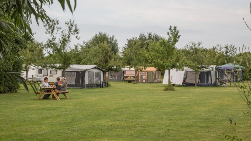 Camping aan de Oosterschelde in Poortvliet, Zeeland met verharde camperplaatsen en honden toegestaan 