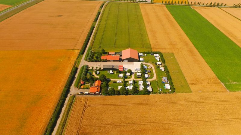 Camping in Scharendijke honden toegestaan 