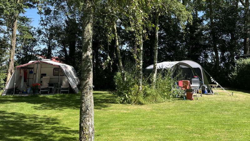 Camping in Vlissingen 3 km vom Strand entfernt Hunde erlaubt 