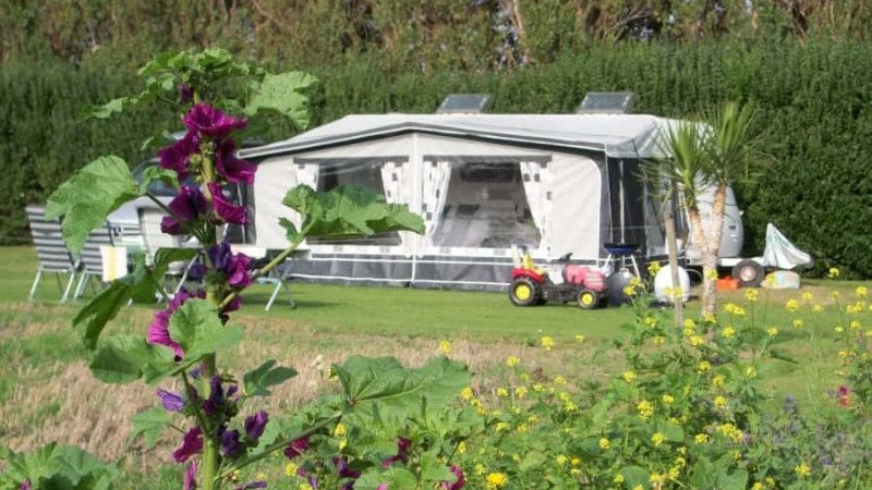 Campingplatz in Vrouwenpolder in Strandnähe Hunde erlaubt 