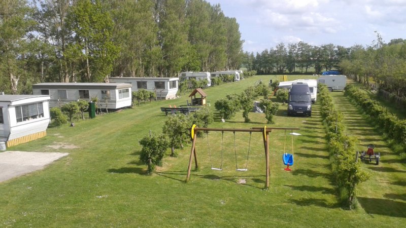 Beim Camping am Meer in Vrouwenpolder Zeeland sind Hunde erlaubt 